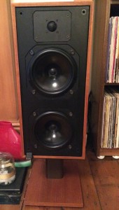 Bowers and Wilkins DM14s.